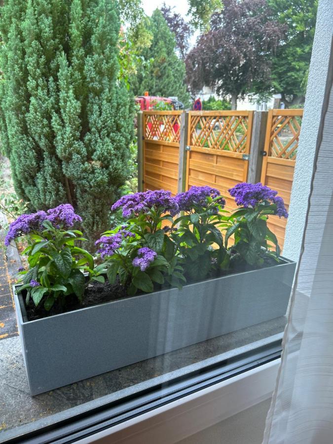 Fewo By Hd Mit Parkplatz, Wallbox, Wintergarten Bad Salzuflen Εξωτερικό φωτογραφία
